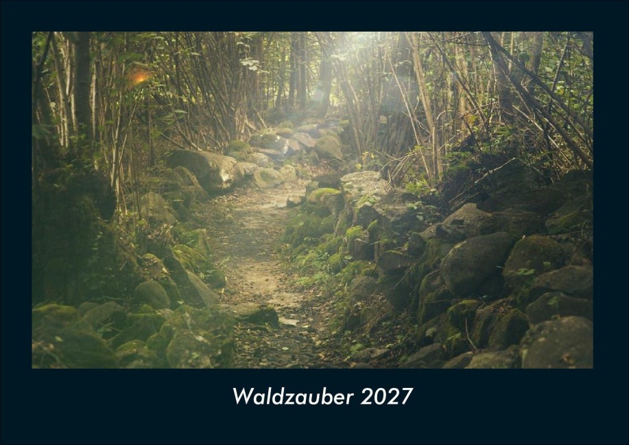 Waldzauber 2027 Fotokalender DIN A4 - Tobias Schmitt, Kevin Heber