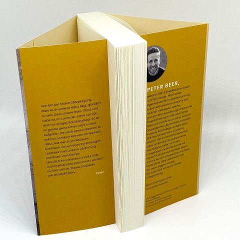 InsideView 5