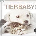 Tierbabys - Book To Go - 