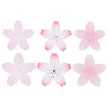 Cover-Bild zum Titel 'Papierblüten mini, Sakura Sakura FSC MIX' von ''