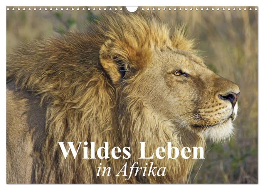 Wildes Leben in Afrika (Wandkalender 2026 DIN A3 quer), CALVENDO Monatskalender - Elisabeth Stanzer