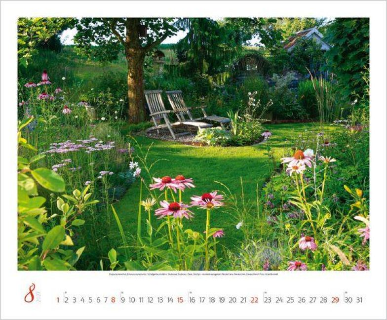InsideView 8