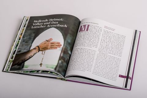 InsideView 8