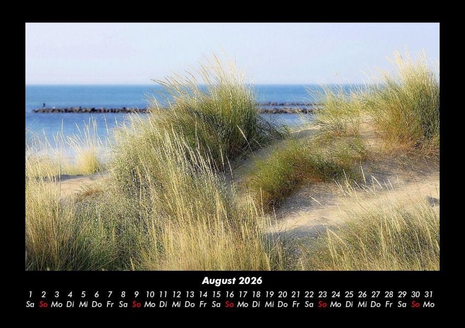InsideView 12
