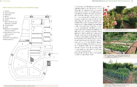 InsideView 1