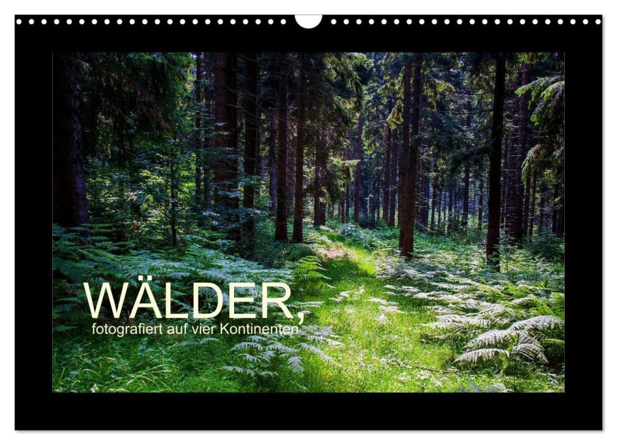 Wälder, fotografiert auf vier Kontinenten (Wandkalender 2026 DIN A3 quer), CALVENDO Monatskalender - Richard Walliser