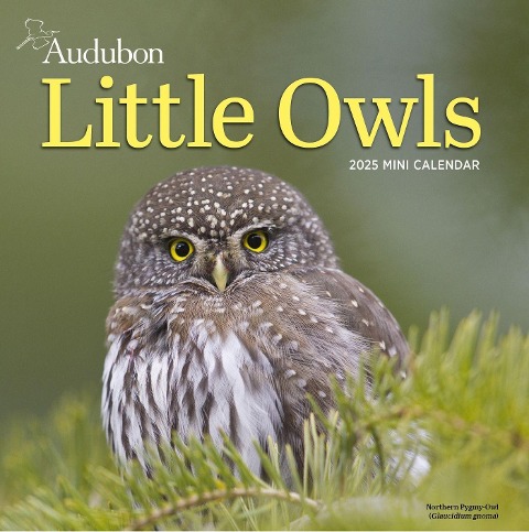 Audubon Little Owls Mini Wall Calendar 2025 - National Audubon Society, Workman Calendars