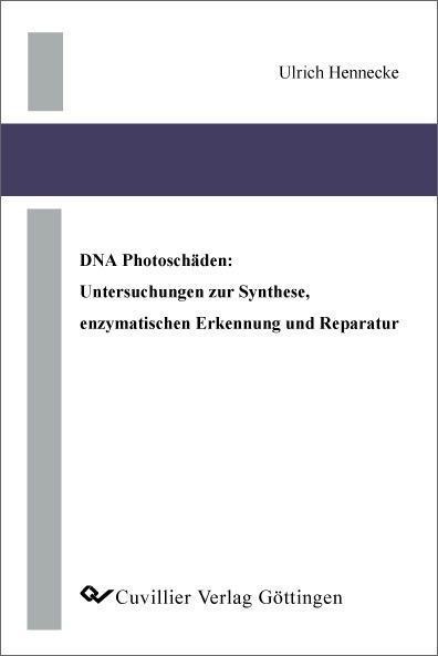 DNA Photoschäden: Untersuchungen zur Synthese, enzymatischen Erkennung und Reparatur - 