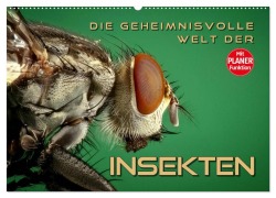Die geheimnisvolle Welt der Insekten (Wandkalender 2026 DIN A2 quer), CALVENDO Monatskalender - Renate Bleicher