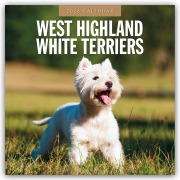 Cover-Bild zum Titel 'West Highland White Terriers - West Highland White Terrier - Westie 2026 - 16-Monatskalender' von 'Robin Red'