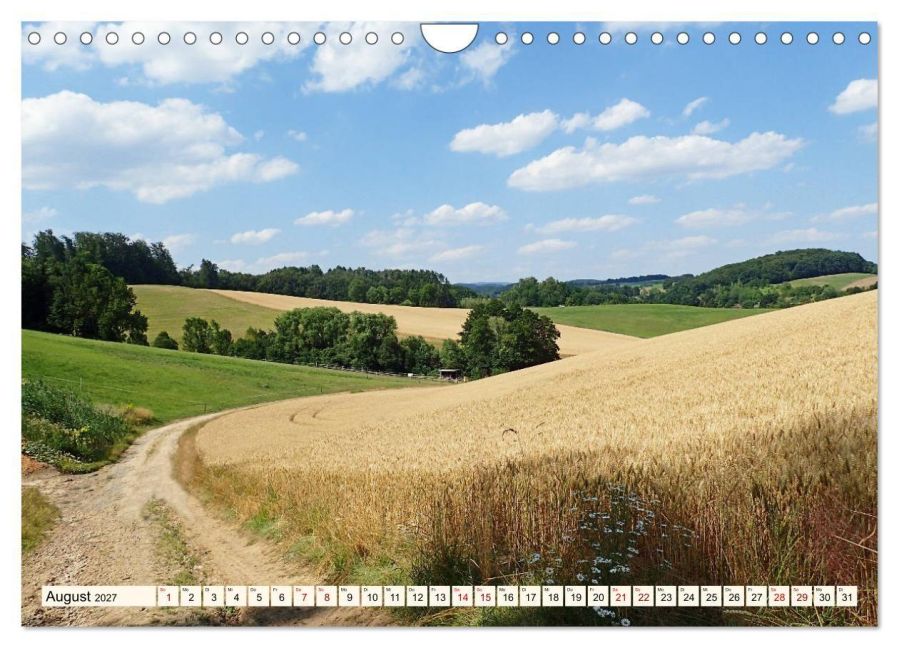 InsideView 13