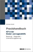 Cover-Bild zum Titel 'Praxishandbuch ICF in der Kinder- und Jugendhilfe' von 'Andreas Seidel'
