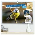Gefiederte Gartengäste, Blaumeisen (hochwertiger Premium Wandkalender 2024 DIN A2 quer), Kunstdruck in Hochglanz - Sabine Löwer