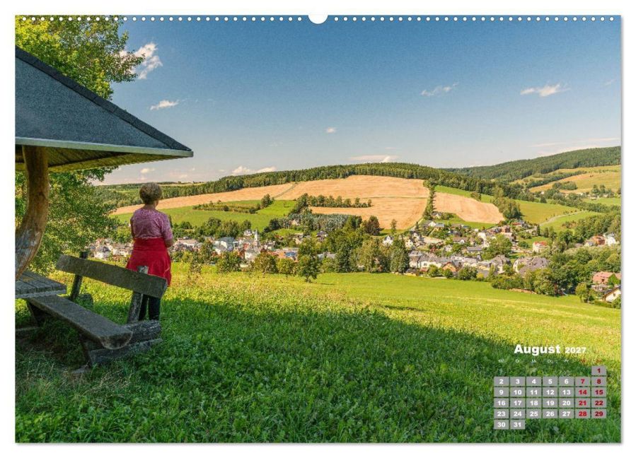 InsideView 12