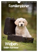 Cover-Bild zum Titel 'Familienplaner: Golden Retriever Welpen (Wandkalender 2027 DIN A4 hoch), CALVENDO Monatskalender' von 'Anna Auerbach'