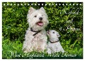 Kobold auf 4 Pfoten - West Highland White Terrier (Tischkalender 2025 DIN A5 quer), CALVENDO Monatskalender - Sigrid Starick