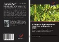 Cover-Bild zum Titel 'Mikroprzedsi¿biorstwa z bambusa w Nairobi w Kenii' von 'Asma Awadh'
