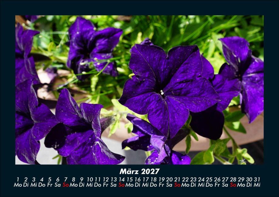 InsideView 7