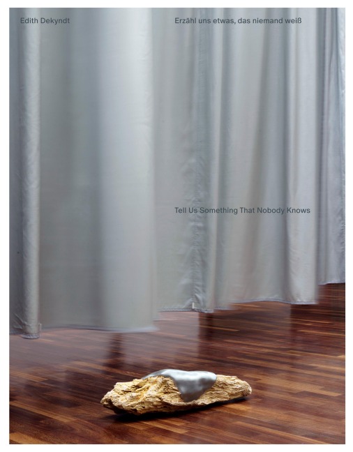 Erzähl uns etwas, das niemand weiß - Edith Dekyndt