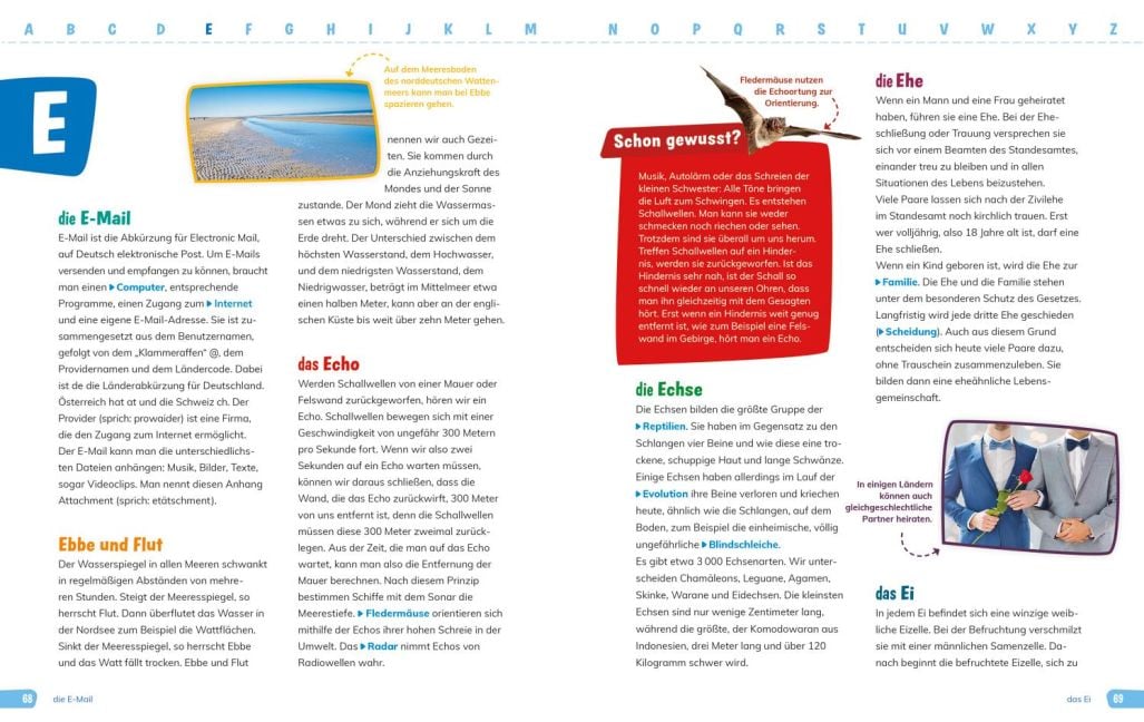 InsideView 3