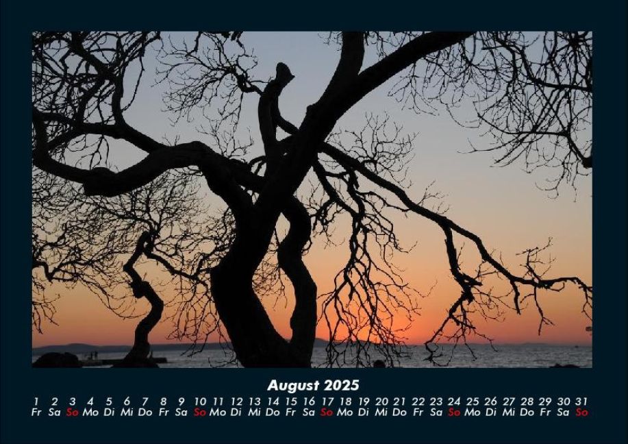 InsideView 12