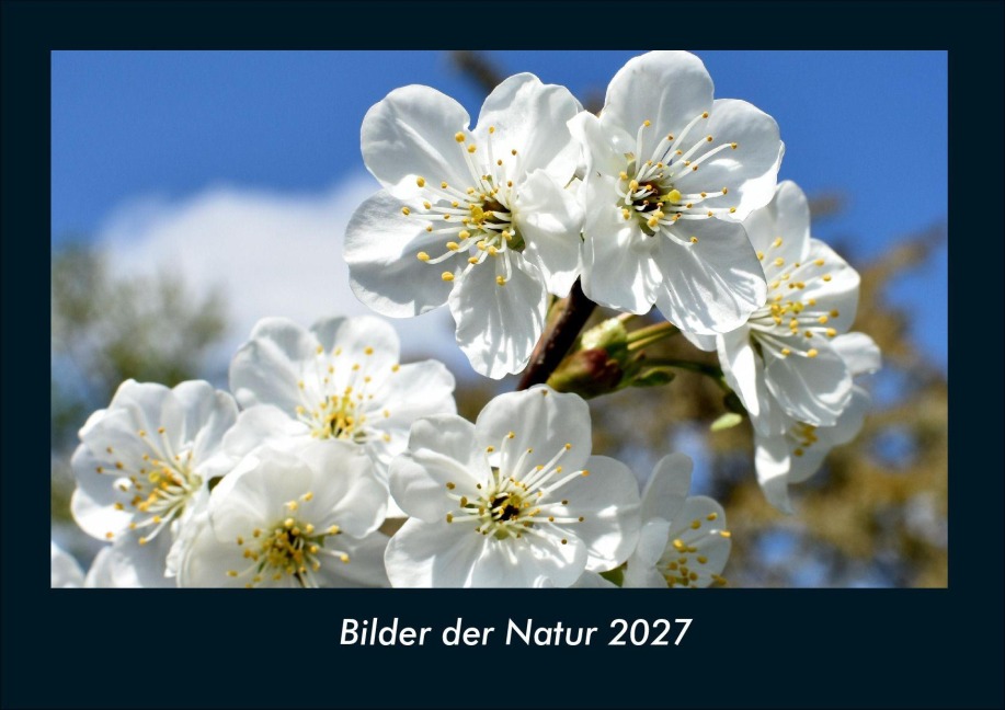 Bilder der Natur 2027 Fotokalender DIN A4 - Tobias Schmitt, Kevin Heber