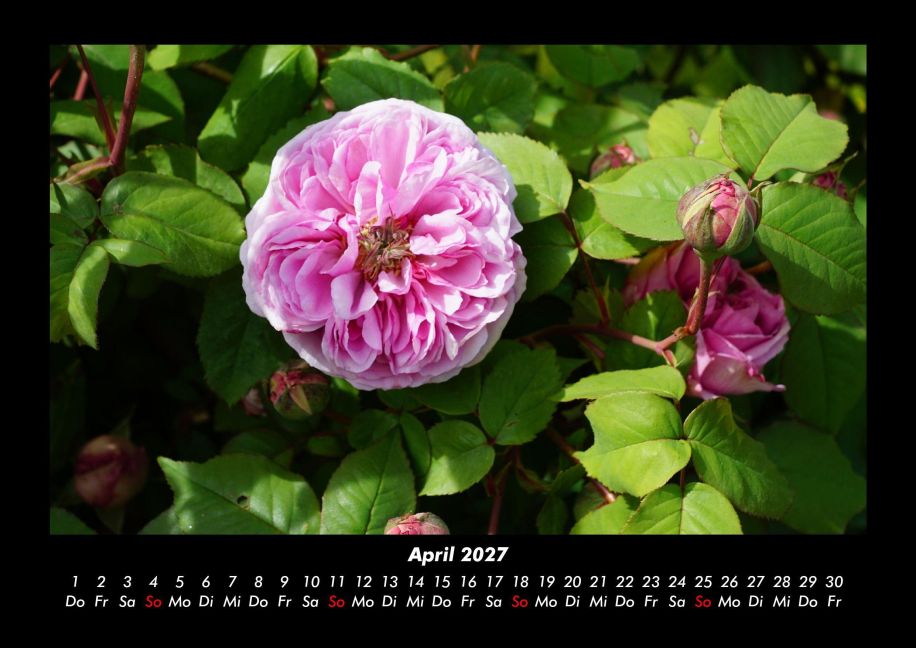 InsideView 8