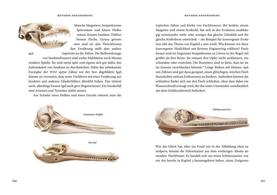 InsideView 4