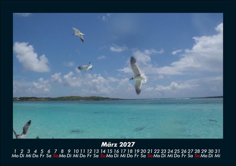 InsideView 7