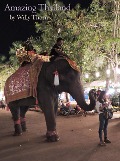 Amazing Thailand - Willy Thorn