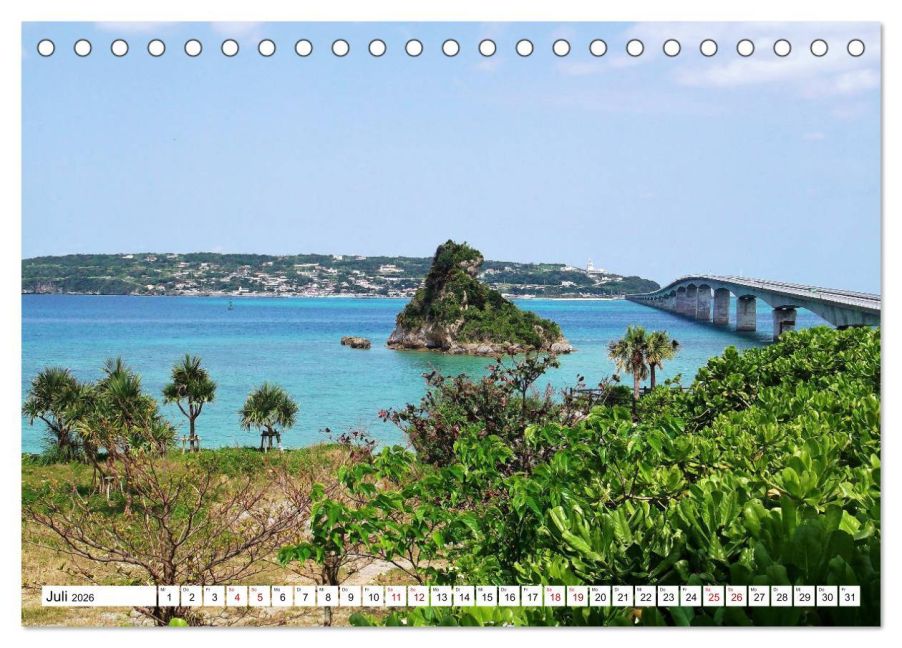 InsideView 12