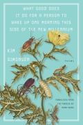 Cover-Bild zum Titel 'What good does it do for a person to wake up one morning this side of the new millennium' von 'Kim Simonsen'