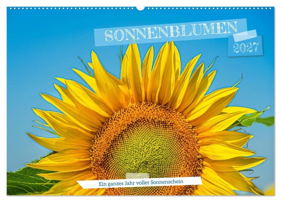 Sonnenblumen - ein ganzes Jahr voller Sonnenschein (Wandkalender 2027 DIN A2 quer), CALVENDO Monatskalender - Sigrid Starick