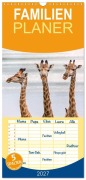 Cover-Bild zum Titel 'Familienplaner 2027 - Afrikas Tierwelt: Giraffen mit 5 Spalten (Wandkalender, 21 x 45 cm) CALVENDO' von 'Michael Voß'