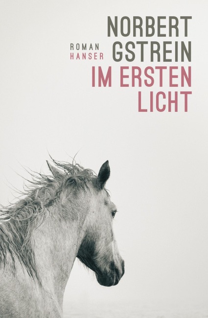 Im ersten Licht - Norbert Gstrein