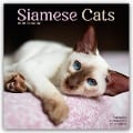 Siamese Cats - Siam-Katzen 2025 - 16-Monatskalender - Avonside Publishing Ltd