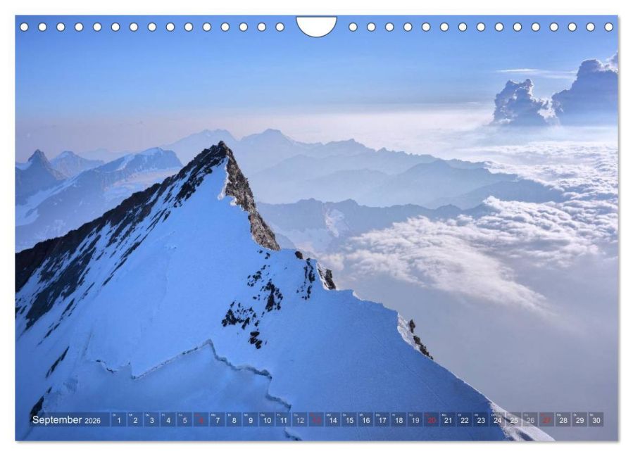 InsideView 14
