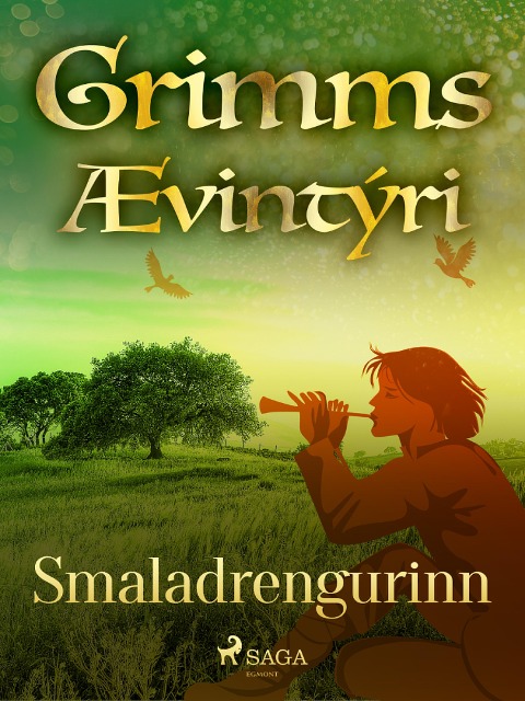 Smaladrengurinn - Grimmsbræður