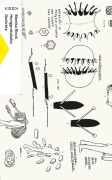 Cover-Bild zum Titel 'Honigprotokolle' von 'Monika Rinck'