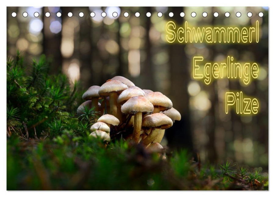 Schwammerl Egerlinge Pilze (Tischkalender 2026 DIN A5 quer), CALVENDO Monatskalender - Birte Zabel