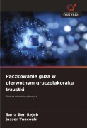 Cover-Bild zum Titel 'P¿czkowanie guza w pierwotnym gruczolakoraku trzustki' von 'Sarra Ben Rejeb, Jasser Yaacoubi'