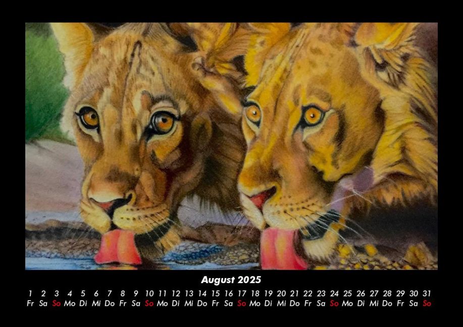 InsideView 12