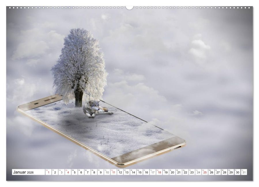 InsideView 5