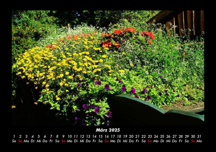 InsideView 7