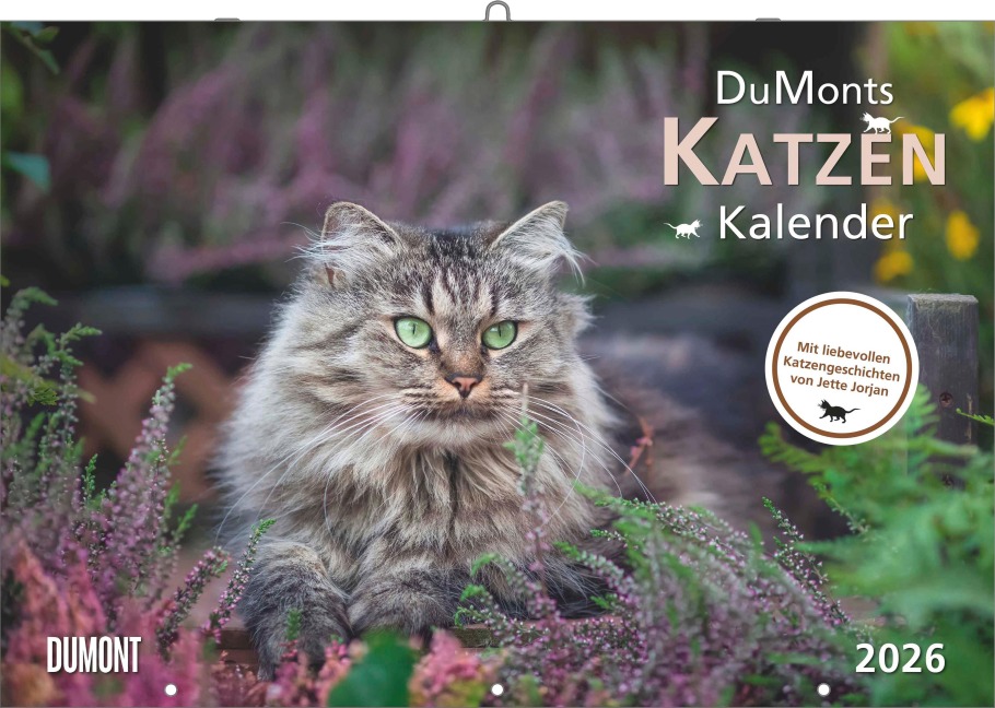 DUMONTS Katzenkalender 2026 - Broschürenkalender - Wandkalender - mit Schulferienterminen - Format 42 x 29 cm - 