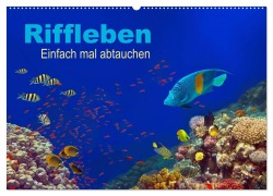 Cover-Bild zum Titel 'Riffleben - Einfach mal abtauchen (Wandkalender 2026 DIN A2 quer), CALVENDO Monatskalender' von 'Tina Melz'