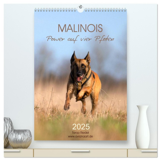 Malinois Power auf vier Pfoten (hochwertiger Premium Wandkalender 2025 DIN A2 hoch), Kunstdruck in Hochglanz - Tanja Riedel
