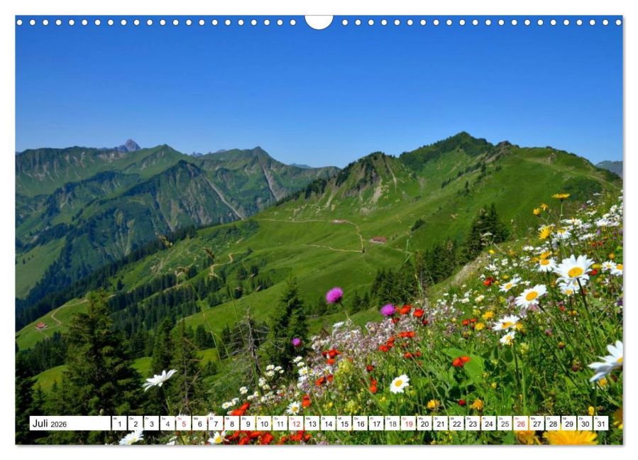 InsideView 12
