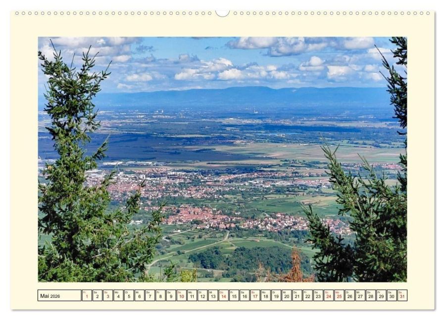 InsideView 10