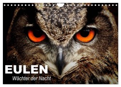 Cover-Bild zum Titel 'Eulen. Wächter der Nacht (Wandkalender 2026 DIN A4 quer), CALVENDO Monatskalender' von 'Elisabeth Stanzer'